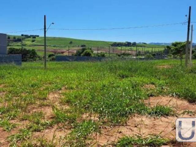 #TE0159 - Terreno para Venda em Caçapava - SP - 1