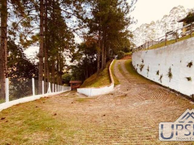 Venda em Zona Rural - Monteiro Lobato